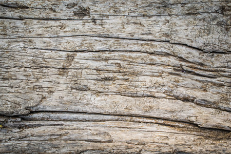 wood backgroundの写真素材