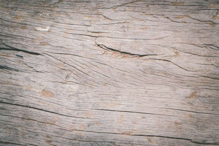 wood backgroundの写真素材