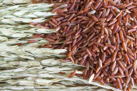 rice
