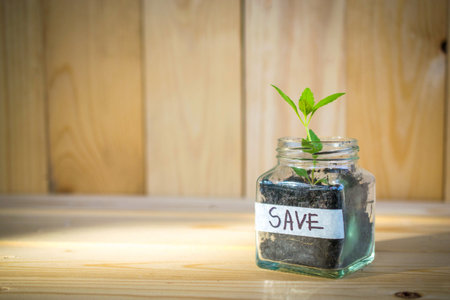 Money saving to investmentの写真素材