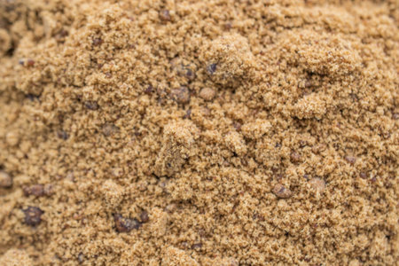 Natural Cane Sugarの写真素材