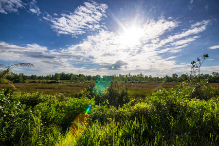 sunset over meadowの写真素材