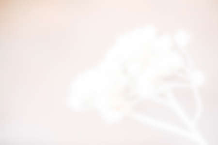 Abstract blur backgroundの写真素材