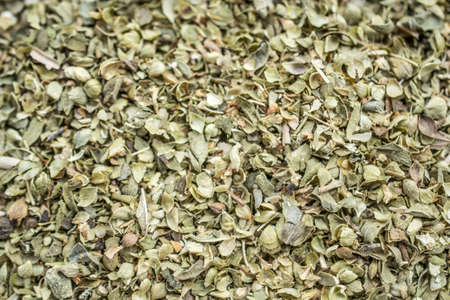 Dried oregano backgroundの写真素材