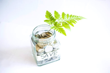 The Concept of Saving Money and Invest Growing Business