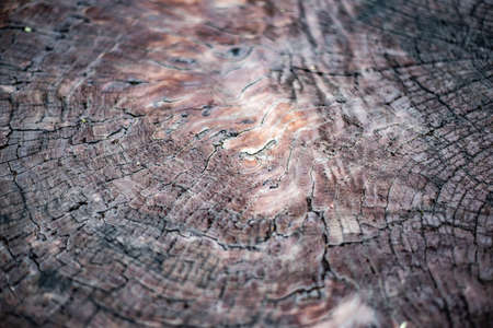 old wood backgroundの写真素材