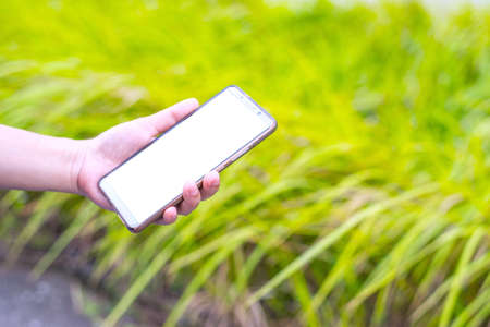 woman holding phone showing blank screenの写真素材