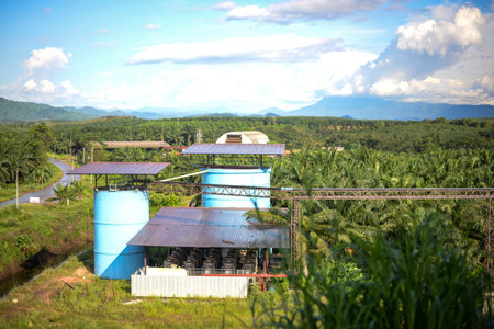 Palm oil refinery industry