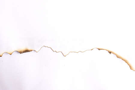 Abstract backgrounds , Paper burned on white backgroundの写真素材
