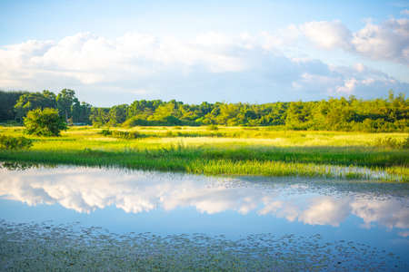 Landscape , Reflection of trees in the river at dawnの写真素材