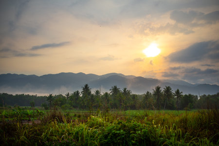 sunrise over the mountain , tropical landscape