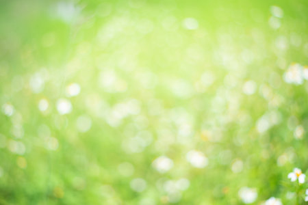 Green abstract backgrounds, characteristics of the light strikes the surface, causing noise and...