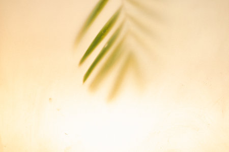 Abstract gold backgrounds, characteristics of the light strikes the surface, causing noise and grain textureの写真素材