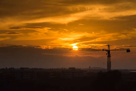 Crane before sunsetの写真素材