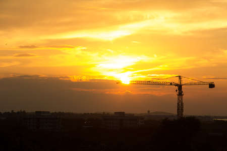 Crane before sunsetの写真素材
