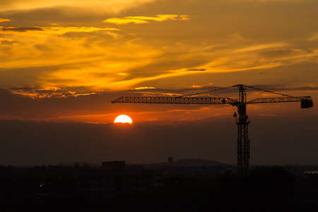 Crane before sunsetの写真素材