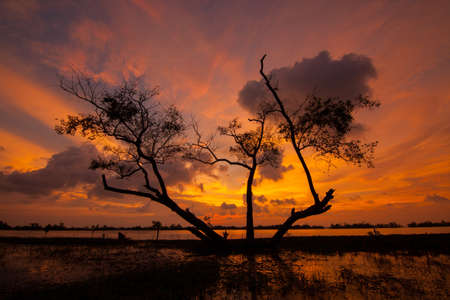 Kukud Lagoon in Thailandの写真素材