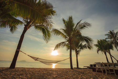 Beach sunsetの写真素材
