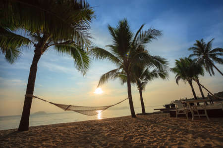 Beach sunsetの写真素材