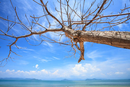 Blue Sky Seaの写真素材