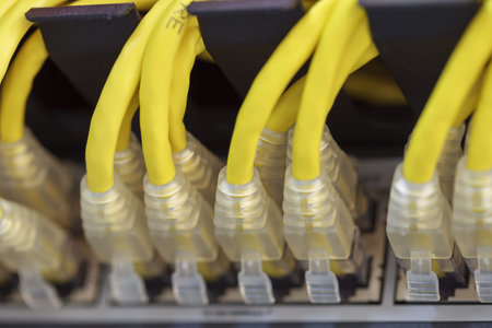 Server Internet Connected with LAN cables 