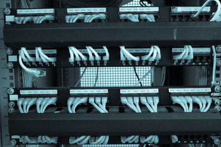 Rack Main Server Internet Connected with LAN cables.