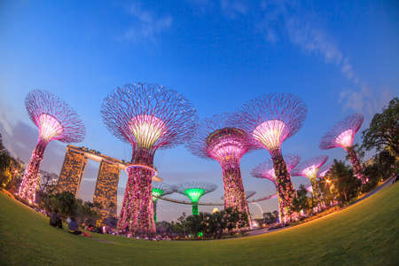 SINGAPORE - MARCH 27: Night view of Supertree Grove at Gardens by the Bay on MARCH 27, 2014 in Singapore.のeditorial素材