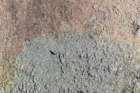 Vintage Wall Background.の写真素材