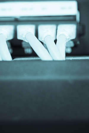 Server Internet Connected with LAN cables.の写真素材