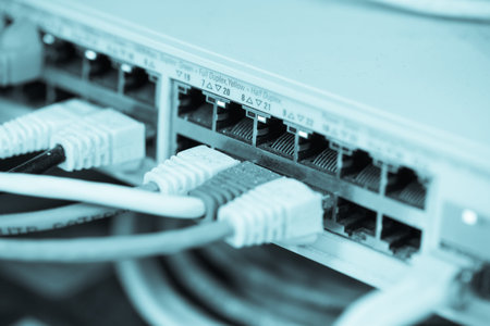 Server Internet Connected with LAN cables.
