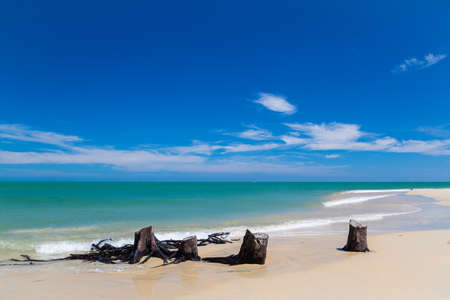 Blue Sky Beach in Summer Season.の写真素材