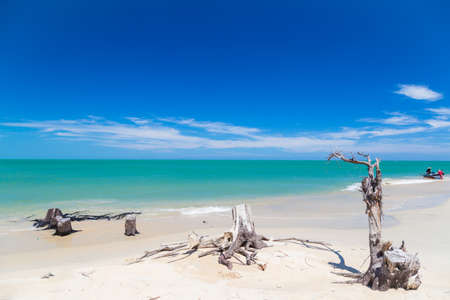 Blue Sky Beach in Summer Season.の写真素材