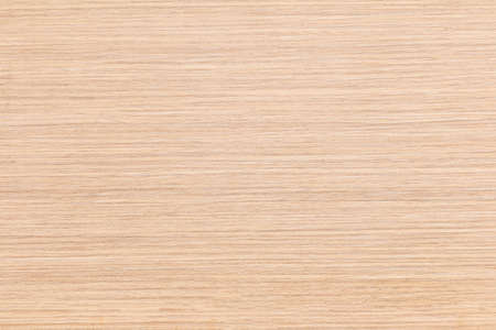 Wood Background,nature Background.の写真素材