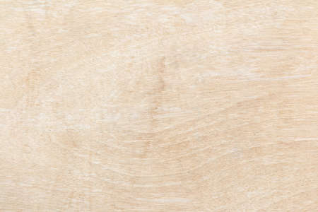 Wood Background,nature Background.の写真素材