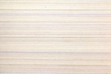 Wood Background,nature Background.の写真素材
