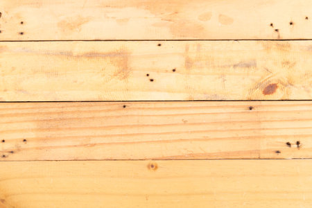 Plate Wood Bacground