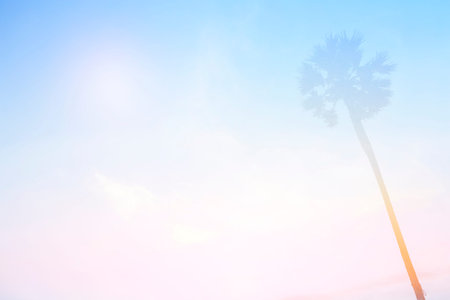 Blur Background Blue Sky Beach and in Summer Season.