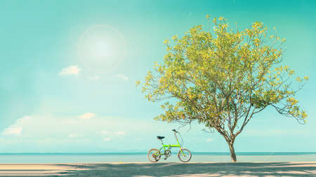 Vintage bicycle parked in paradise beach blue sky.の写真素材