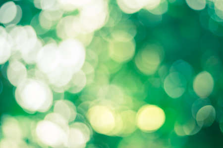 Green bokeh nature background World Environment Day CSRの写真素材