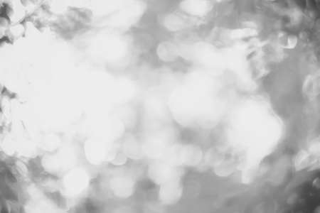 Blurred leaf in sunlight shine on background with copy space for text advertisment. calm blur park lawn soft life lush tree space retro fresh plant light relax color eco spa bio new copy space empty bush art effect elm wide big manual focusの写真素材
