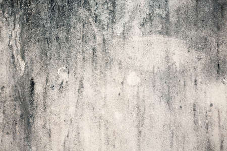 Grey Home plaster wall texture background Solid image grungy plan concrete. Rusty white tough row rectangle or shot of new panel gloomy tranquil surreal tiled safe area bare concepts raw seam linesの写真素材