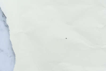 Old grey eco crumpled drawing paper kraft background texture in soft white light color concept for page wallpaper design, gray rice matte organic pattern for decorative wall. Vintage decoration flat.の写真素材