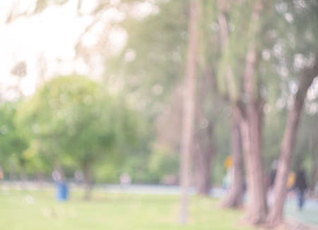Abstract blur green park in spring outdoor background concept for blurry beautiful nature field, horizon autumn meadow scene, eco environment day in summer blossom.の写真素材