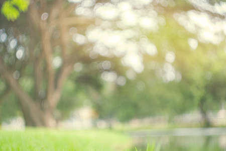 Abstract blur green park in spring outdoor background concept for blurry beautiful nature field, horizon autumn meadow scene, eco environment day in summer blossom.の写真素材