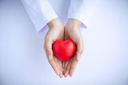 Woman doctor hands holding red heart on white background donate for hospital care concept. world heart day and world health day, CSR community, foster support patient.の写真素材