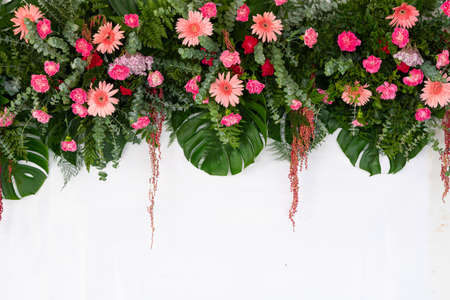 Tropical leaves and flower foliage plant bush floral arrangement nature isolated on white background, clipping path included.の写真素材