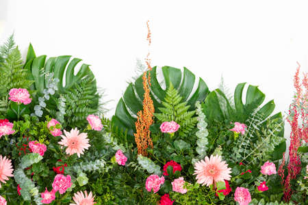 Tropical leaves and flower foliage plant bush floral arrangement nature isolated on white background, clipping path included.の写真素材