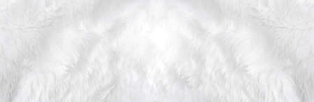 Wide animal white wool sheep background in top view light natural. Grey fluffy seamless cotton panoramic texture. Wrinkled lamb fur coat skin, rug mat raw material,  fleece woolly textile conceptの写真素材