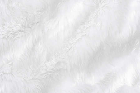 Closeup animal white wool sheep background in top view light natural detail, grey fluffy seamless cotton texture. Wrinkled lamb fur coat skin, rug mat raw material,  fleece woolly textile concept の写真素材