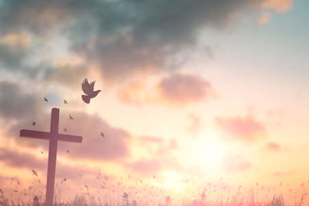 Summer Blue Sky and white clouds background. Beautiful clear cloudy in sunlight spring season. Panorama vivid cyan cloudscape in nature environment. Outdoor horizon skyline with spring sunshine.の写真素材